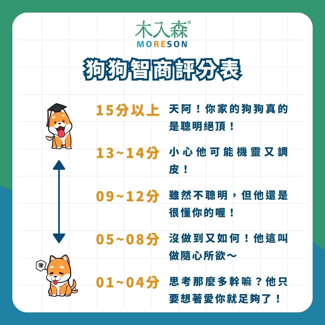 狗狗智商排行榜，3分鐘測驗你家的狗狗算是聰明嗎？