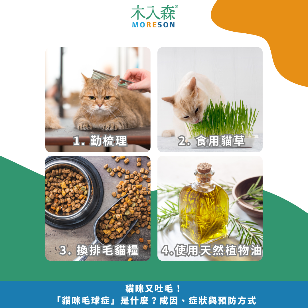 貓咪又吐毛!「貓咪毛球症」是什麼?成因、症狀與預防方式 貓咪又吐毛!「貓咪毛球症」是什麼?成因、症狀與預防方式