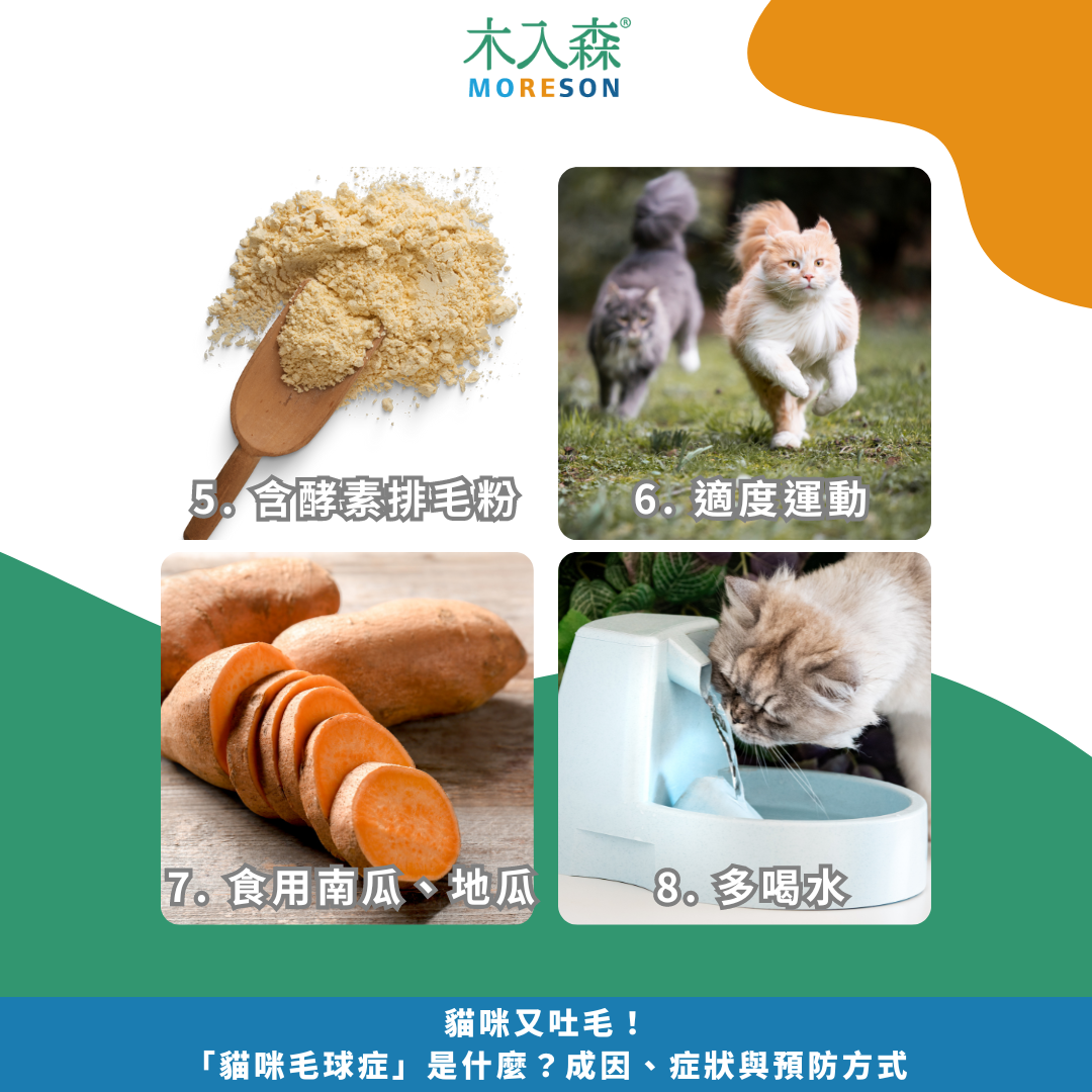 貓咪又吐毛!「貓咪毛球症」是什麼?成因、症狀與預防方式 貓咪又吐毛!「貓咪毛球症」是什麼?成因、症狀與預防方式