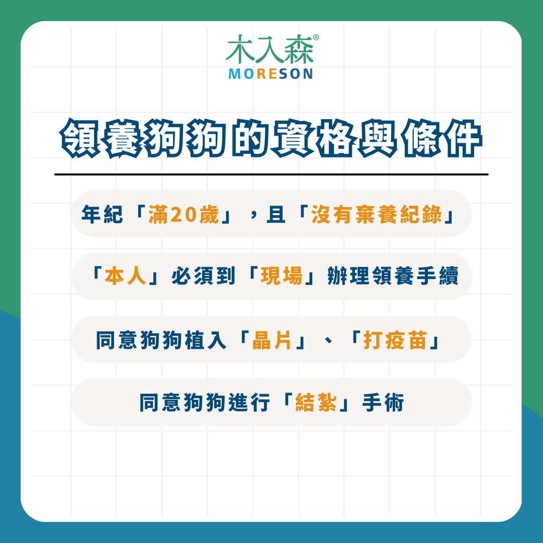 領養狗狗懶人包! 最新領養條件、流程、平台資訊整理 領養狗狗懶人包! 最新領養條件、流程、平台資訊整理