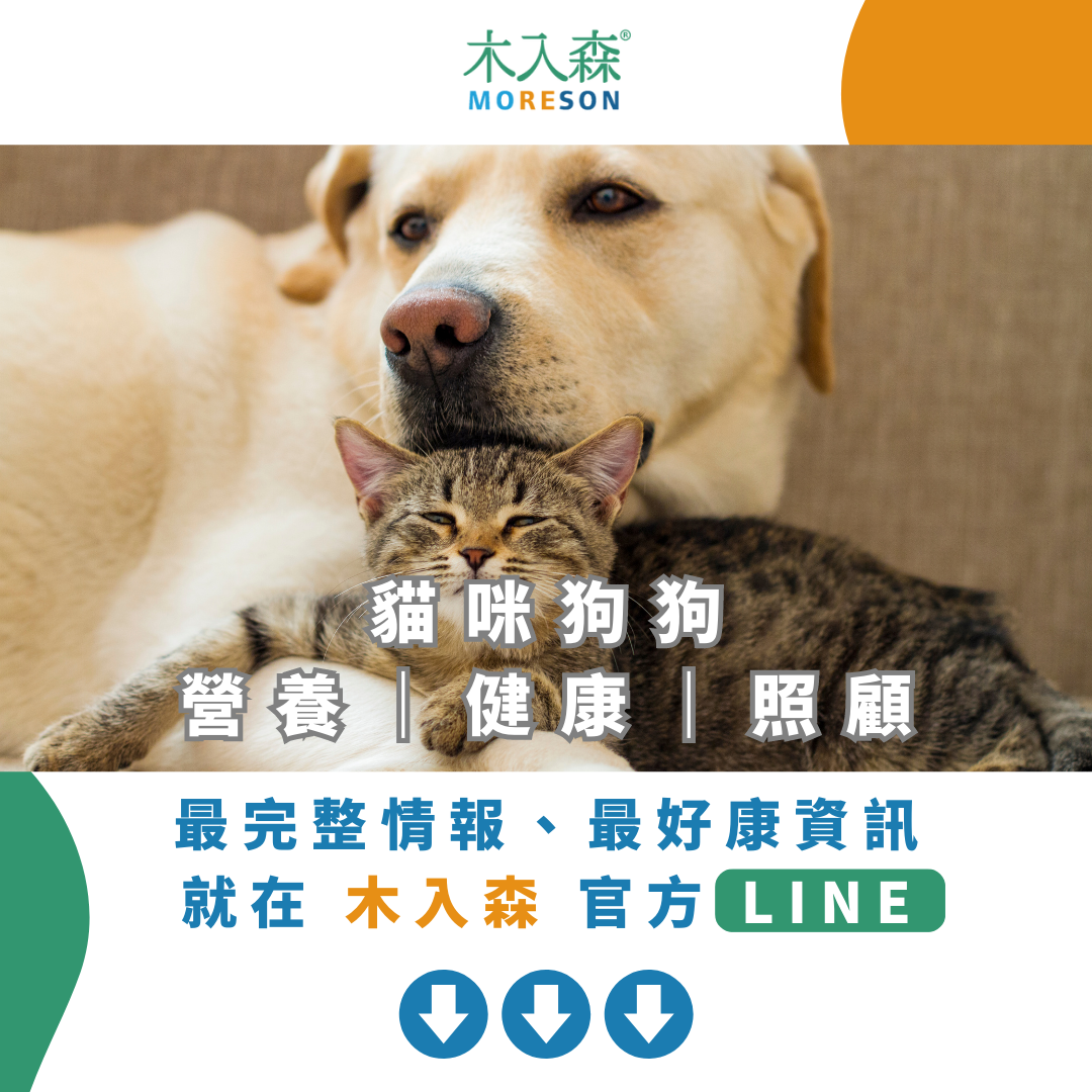發現貓咪尿不出來?用這<strong>「5」</strong>個步驟判斷原因、症狀、預防復發方法。 發現貓咪尿不出來?用這<strong>「5」</strong>個步驟判斷原因、症狀、預防復發方法。