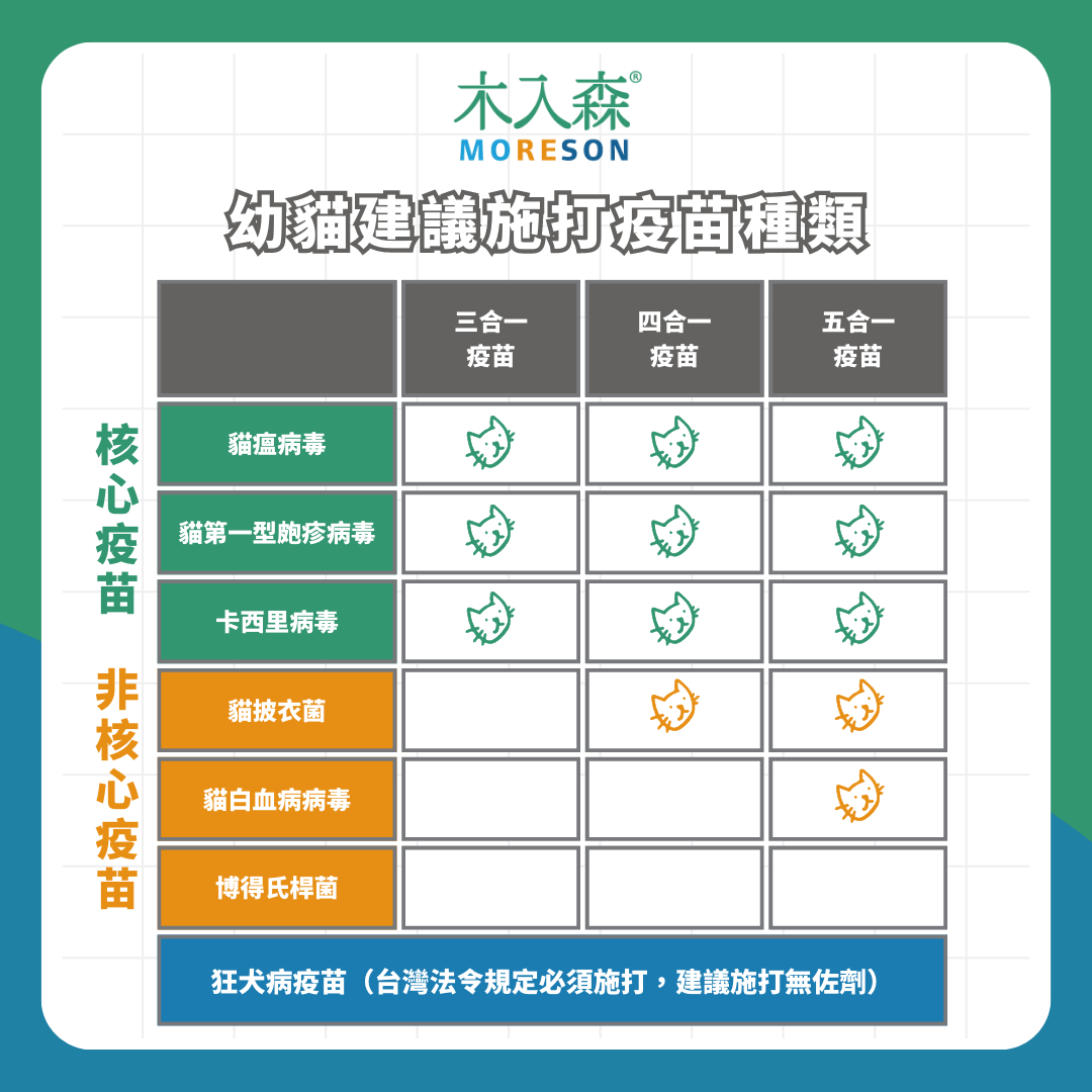 《幼貓照顧-教戰守則.5》醫療篇:疫苗、驅蟲、結紮,一次搞懂Knowhow! 《幼貓照顧-教戰守則.5》醫療篇:疫苗、驅蟲、結紮,一次搞懂Knowhow!