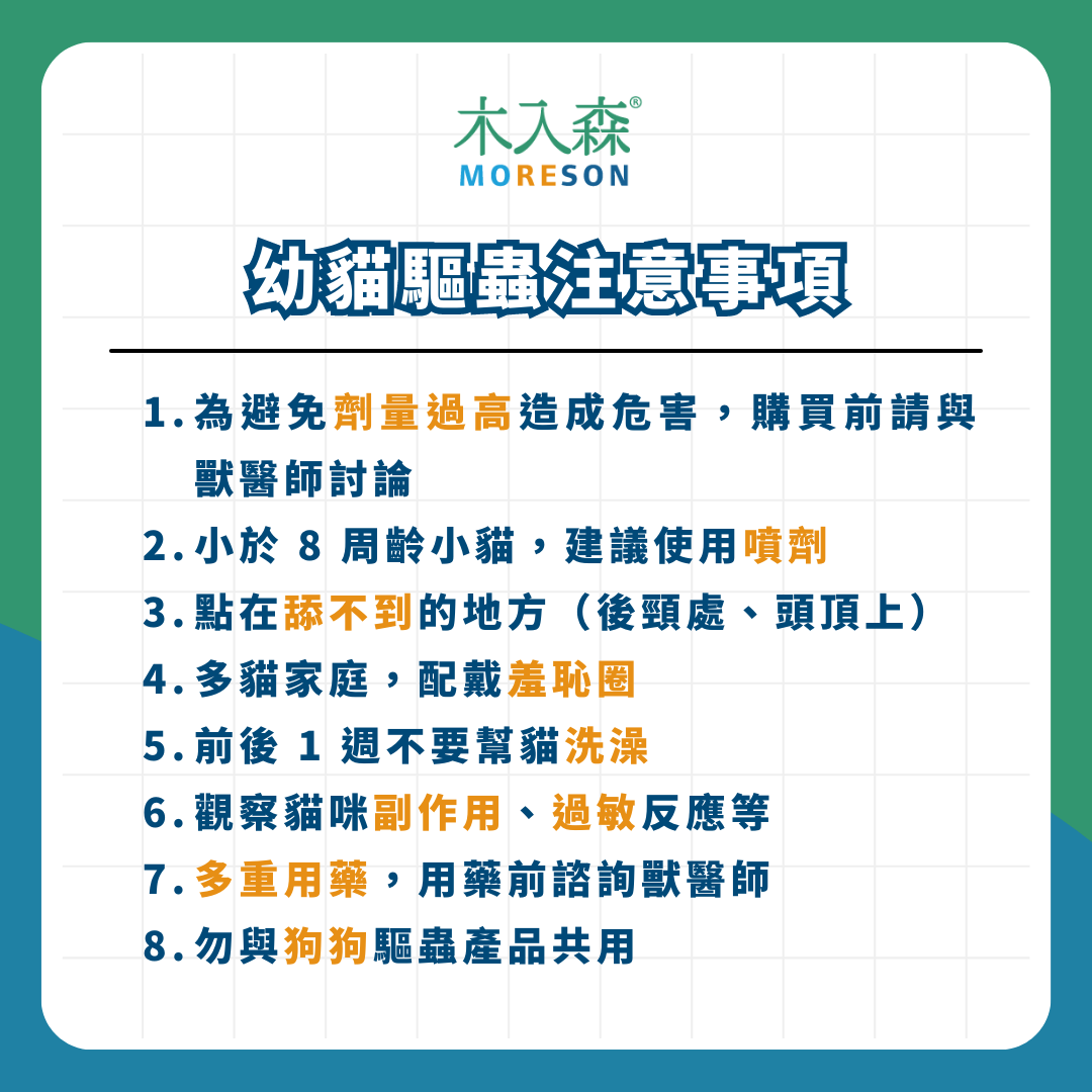 《幼貓照顧-教戰守則.5》醫療篇:疫苗、驅蟲、結紮,一次搞懂Knowhow! 《幼貓照顧-教戰守則.5》醫療篇:疫苗、驅蟲、結紮,一次搞懂Knowhow!