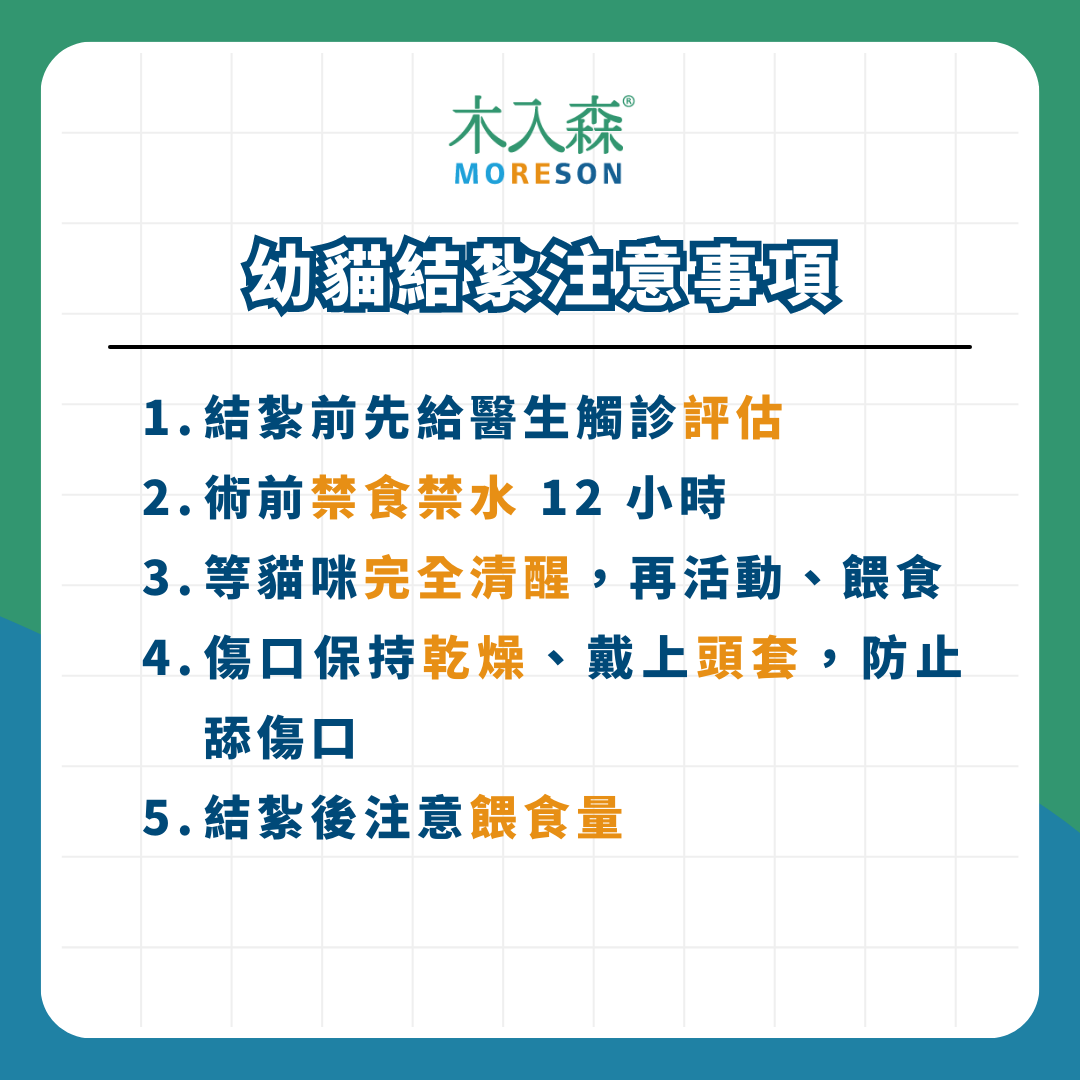 《幼貓照顧-教戰守則.5》醫療篇:疫苗、驅蟲、結紮,一次搞懂Knowhow! 《幼貓照顧-教戰守則.5》醫療篇:疫苗、驅蟲、結紮,一次搞懂Knowhow!