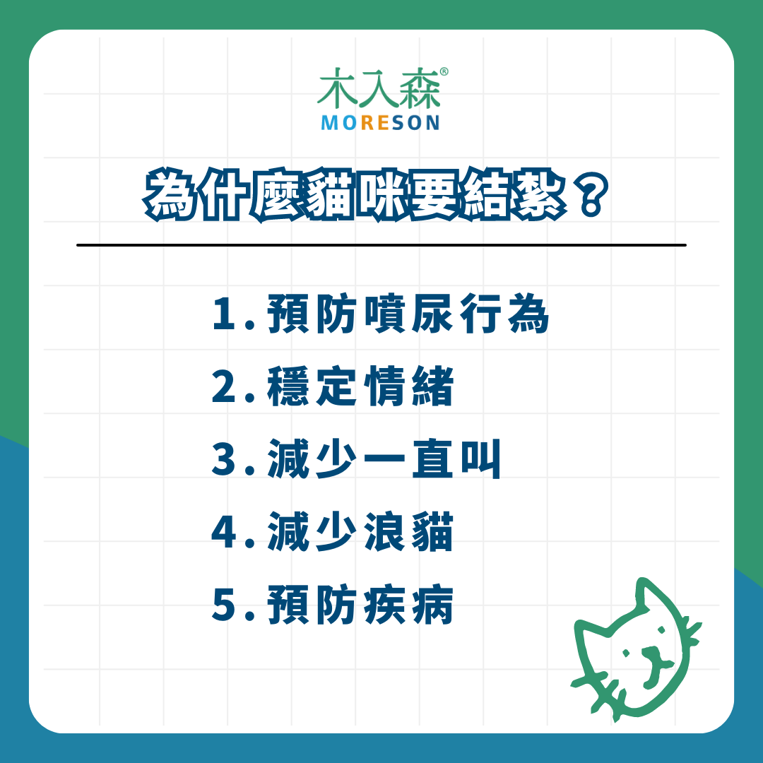 《幼貓照顧-教戰守則.5》醫療篇：疫苗、驅蟲、結紮，一次搞懂Knowhow！