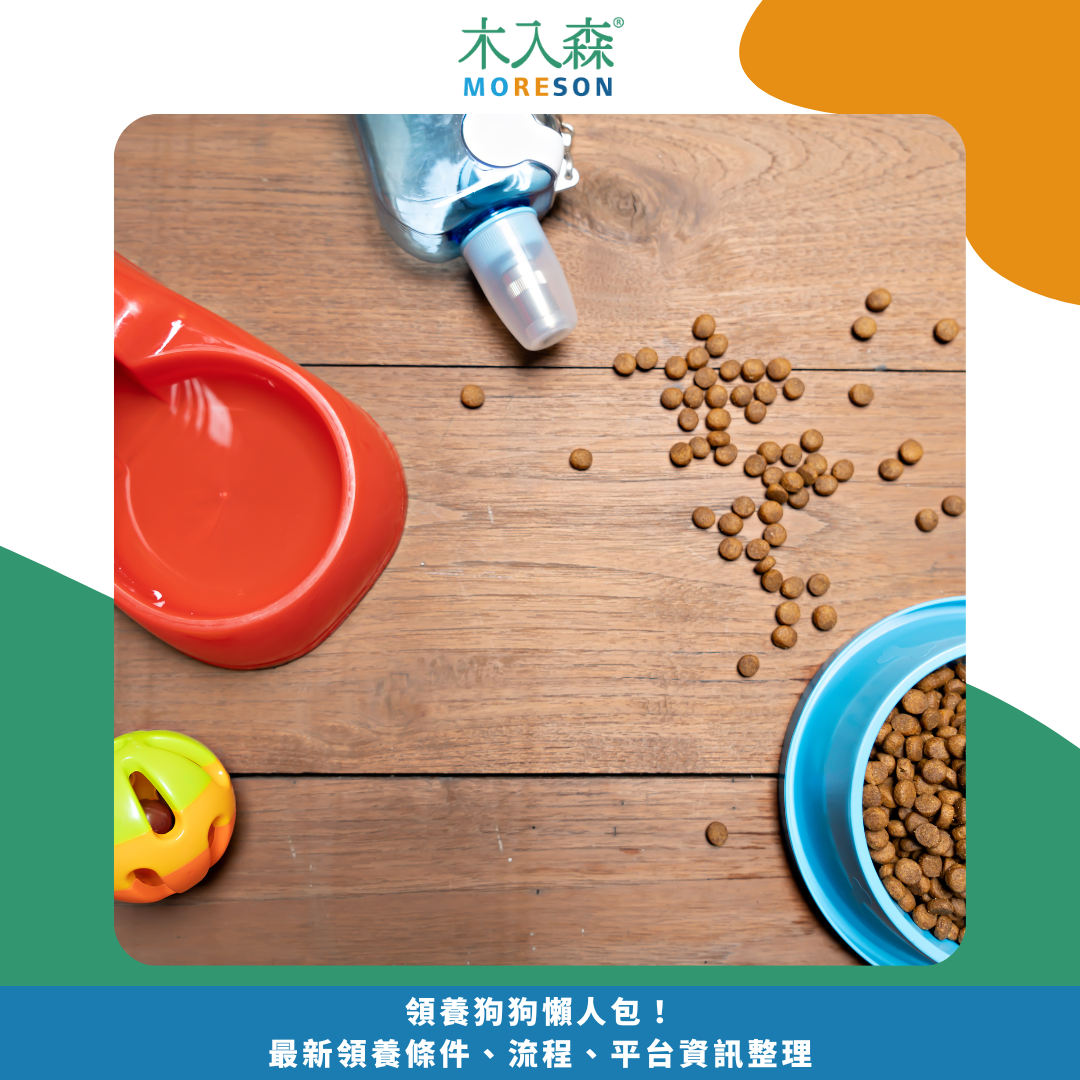 領養狗狗懶人包! 最新領養條件、流程、平台資訊整理 領養狗狗懶人包! 最新領養條件、流程、平台資訊整理