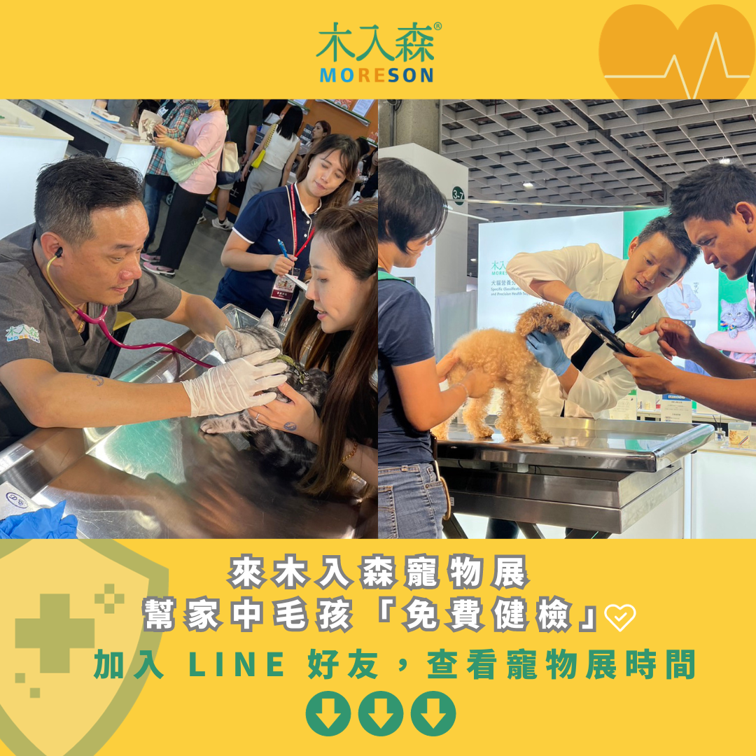 你真的需要幫貓洗澡嗎?搞懂SOP、頻率、注意事項,少打一場仗! 你真的需要幫貓洗澡嗎?搞懂SOP、頻率、注意事項,少打一場仗!