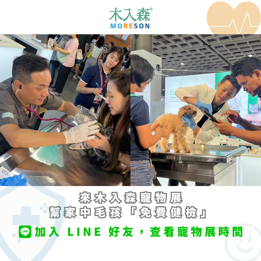 你真的需要幫貓洗澡嗎？搞懂SOP、頻率、注意事項，少打一場仗！