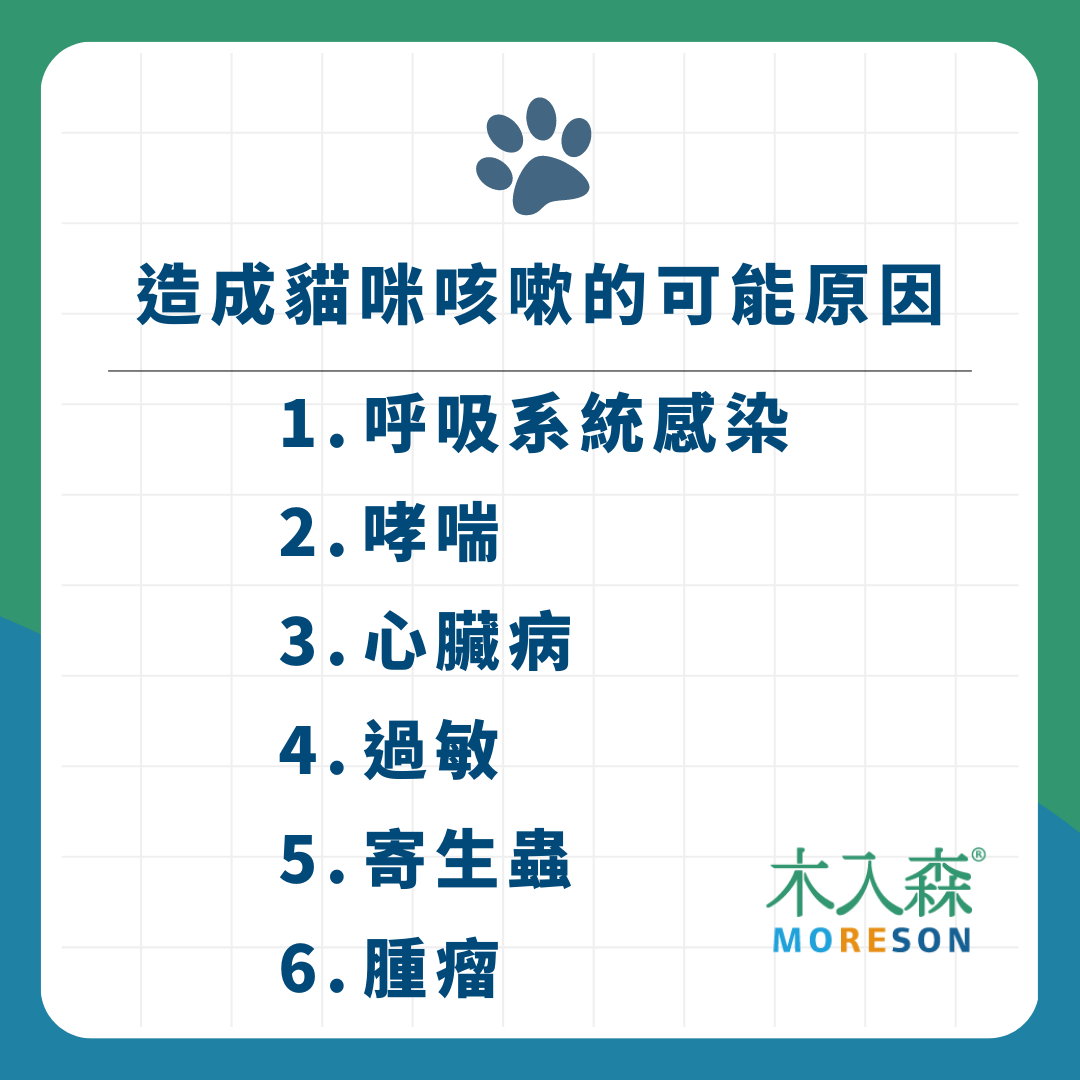 貓咪咳嗽怎麼辦？飼主們務必留意的6個咳嗽原因