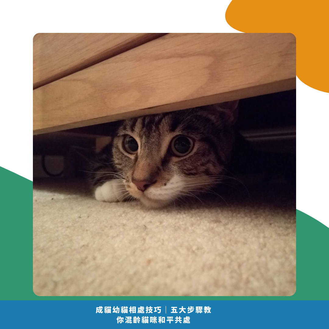 常見問題 Q&A 常見問題 Q&A