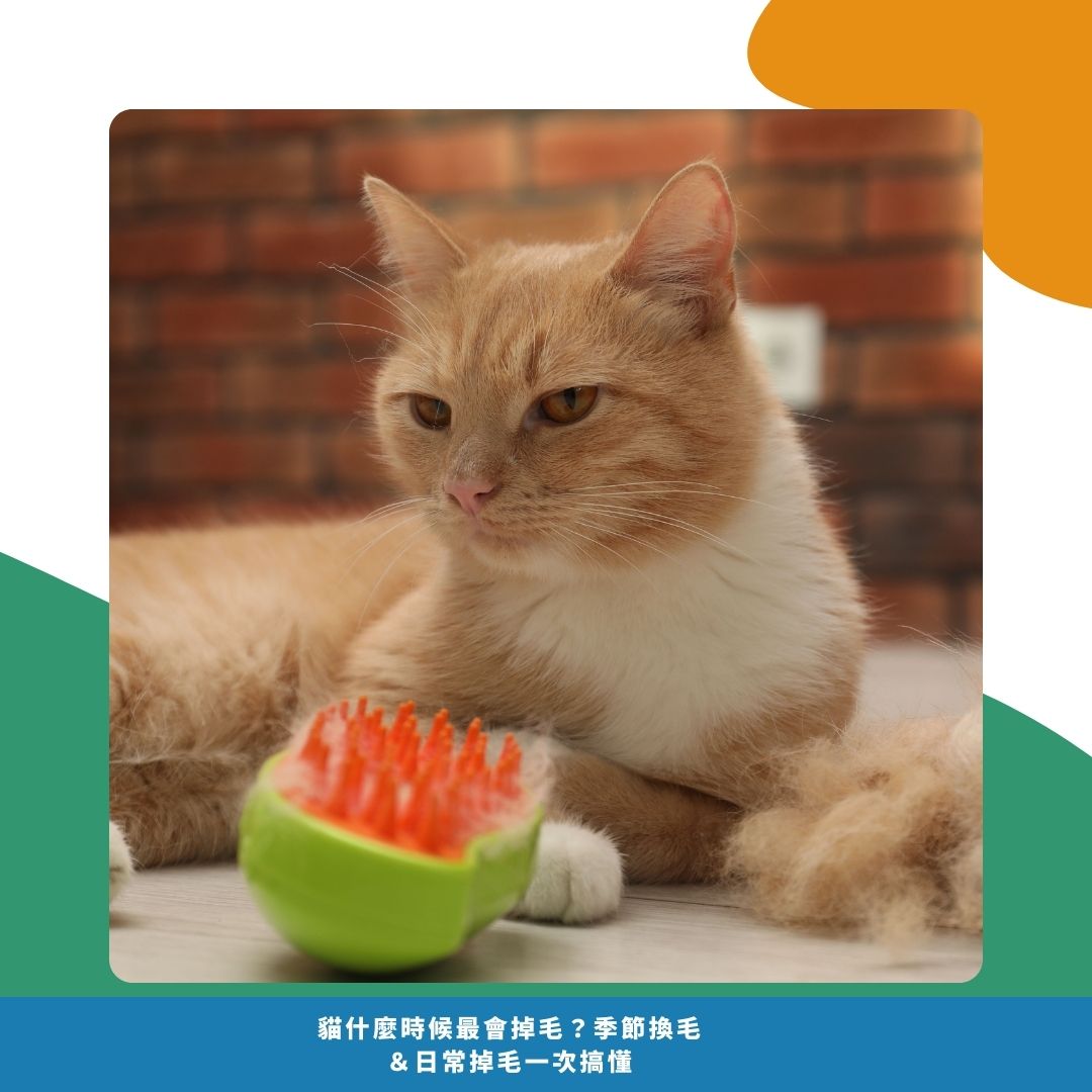 常見問題 常見問題