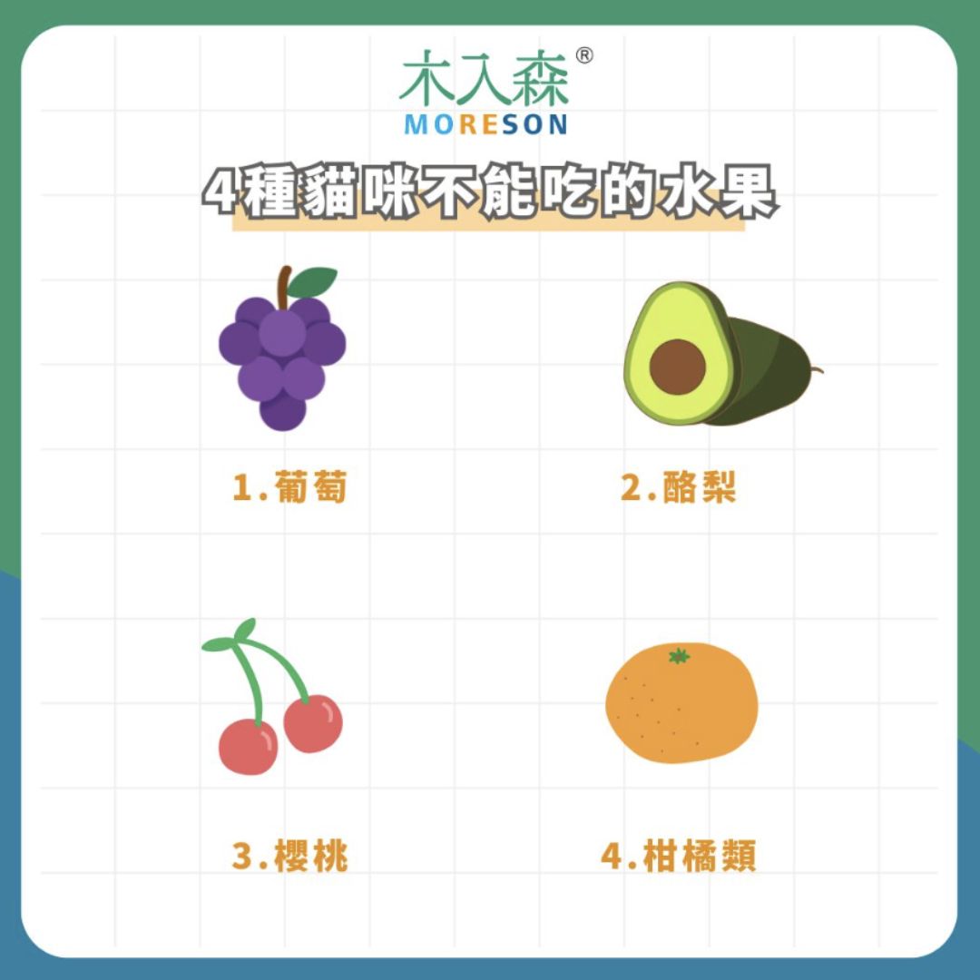 貓咪不能吃的水果