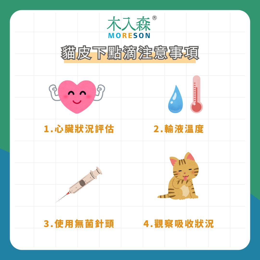 貓皮下點滴 貓皮下點滴