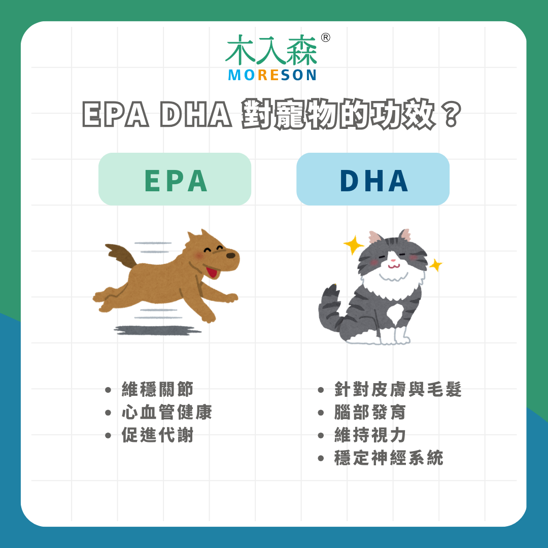 不只是Omega-3濃度!寵物魚油怎麼選?飼主必看的 6 大挑選標準 不只是Omega-3濃度!寵物魚油怎麼選?飼主必看的 6 大挑選標準