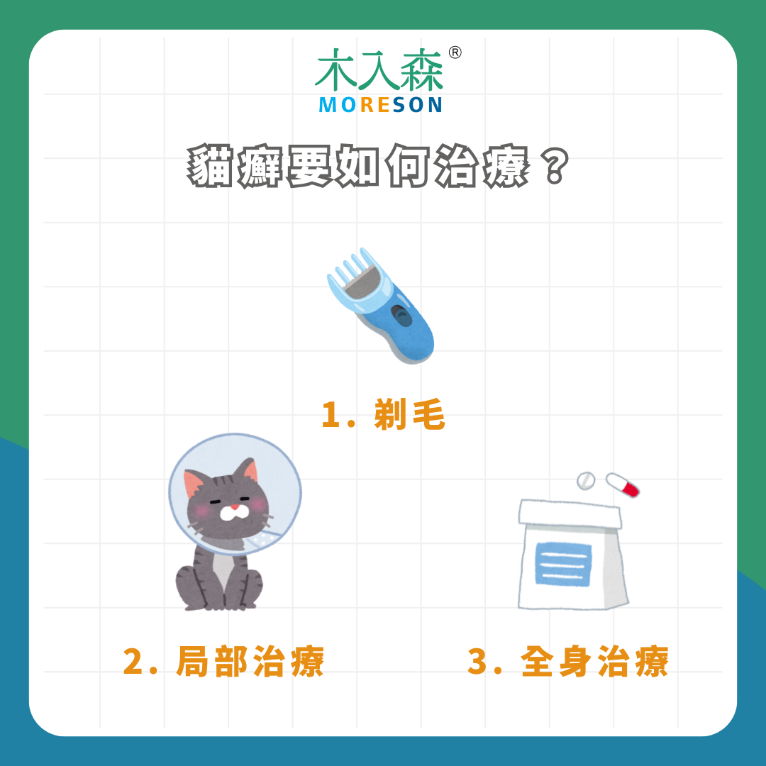 貓癬會傳染人?!「貓癬 / 貓黴菌」治療全攻略,症狀、原因一次看! 貓癬會傳染人?!「貓癬 / 貓黴菌」治療全攻略,症狀、原因一次看!