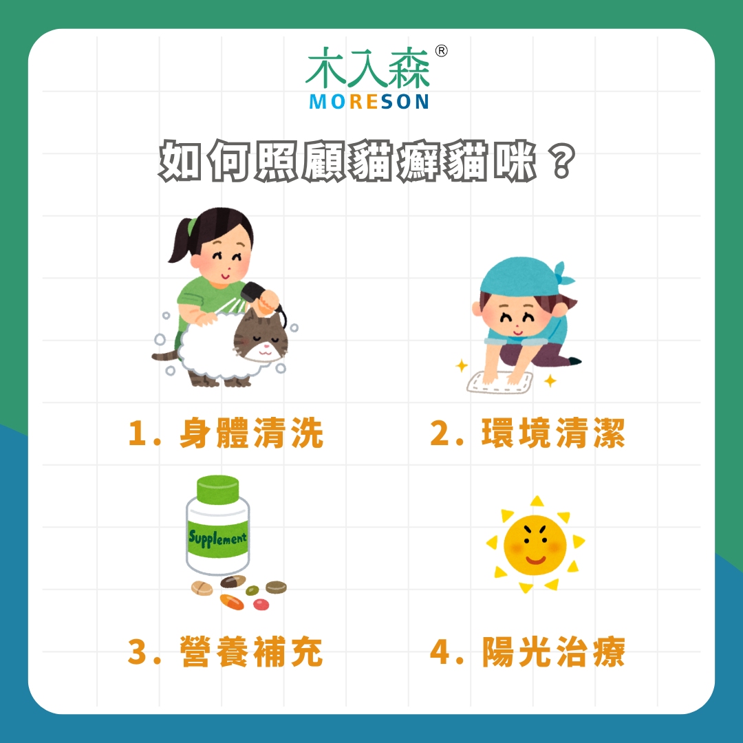 貓癬會傳染人?!「貓癬 / 貓黴菌」治療全攻略,症狀、原因一次看! 貓癬會傳染人?!「貓癬 / 貓黴菌」治療全攻略,症狀、原因一次看!