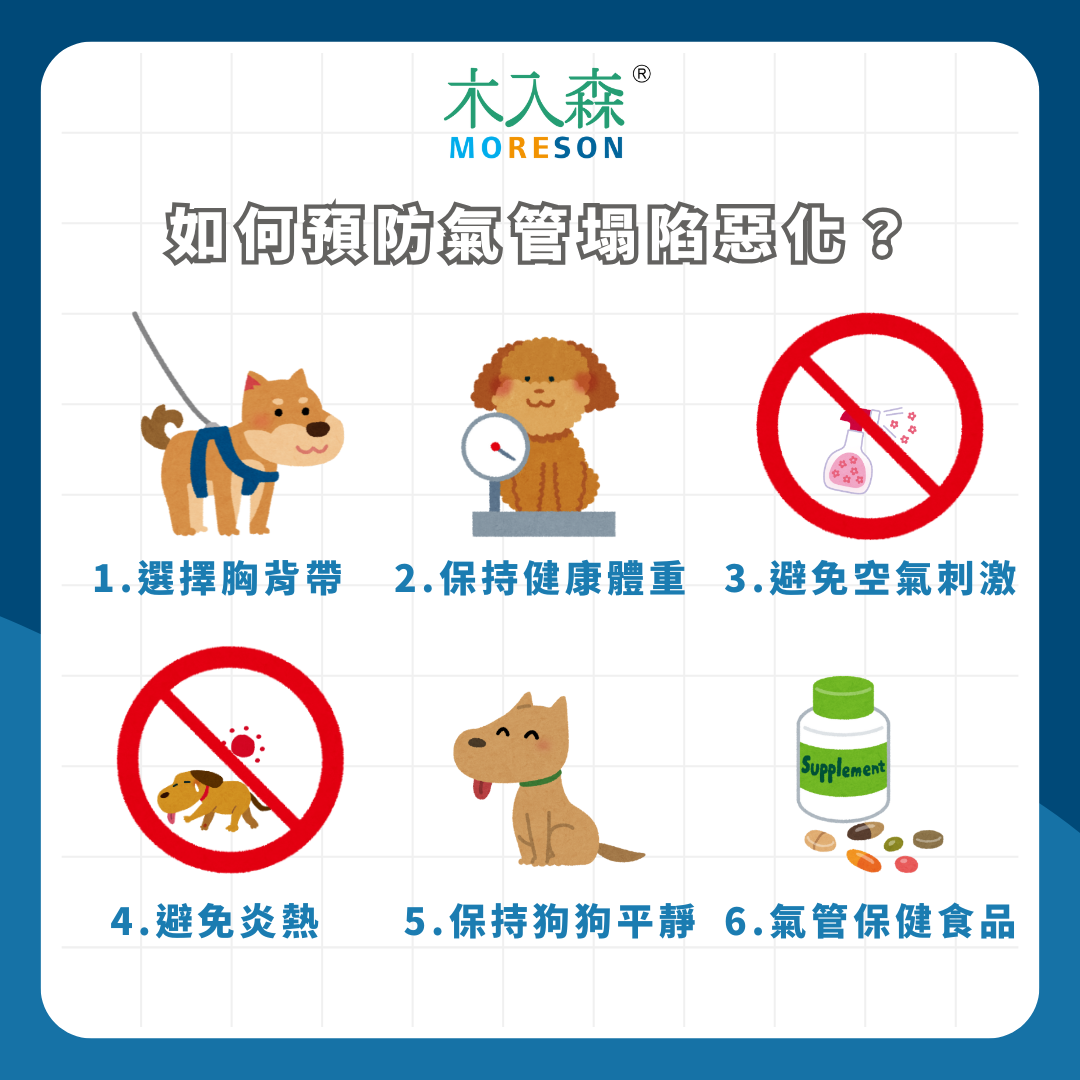 總是喘不過氣!狗狗氣管塌陷是什麼?了解症狀、預防與治療方式 總是喘不過氣!狗狗氣管塌陷是什麼?了解症狀、預防與治療方式