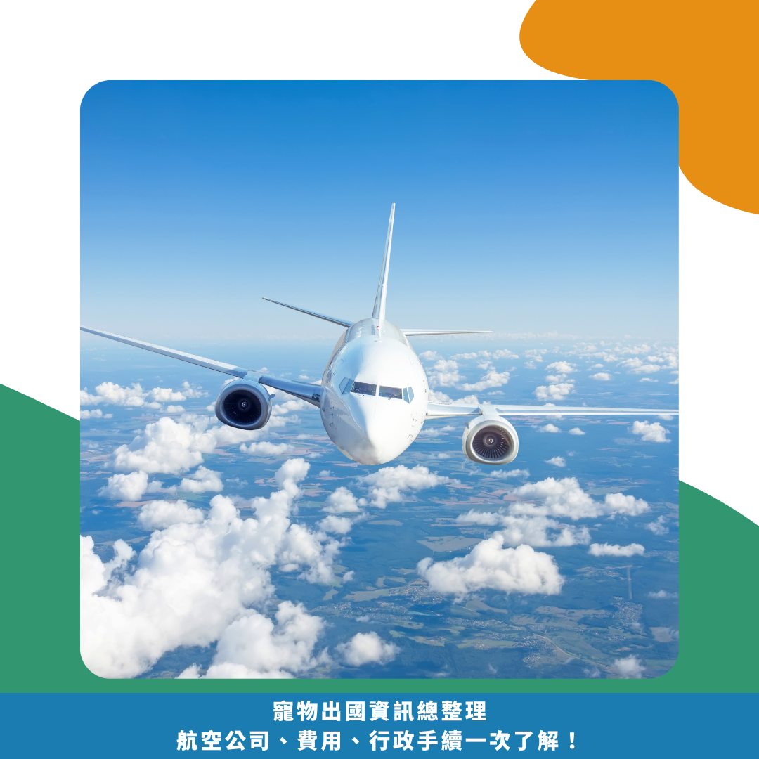 寵物出國資訊總整理!航空公司、費用、行政手續一次了解! 寵物出國資訊總整理!航空公司、費用、行政手續一次了解!