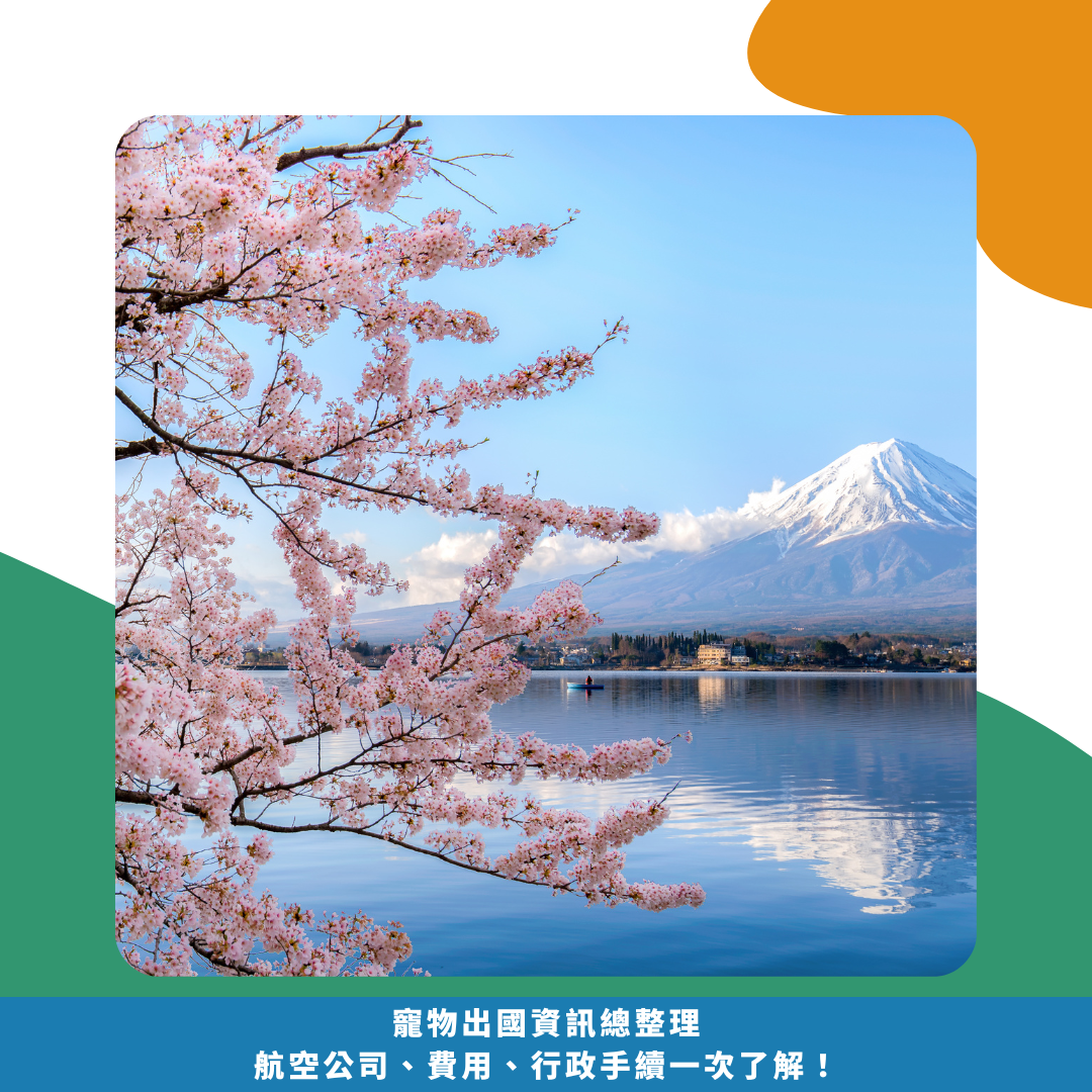 寵物出國資訊總整理!航空公司、費用、行政手續一次了解! 寵物出國資訊總整理!航空公司、費用、行政手續一次了解!