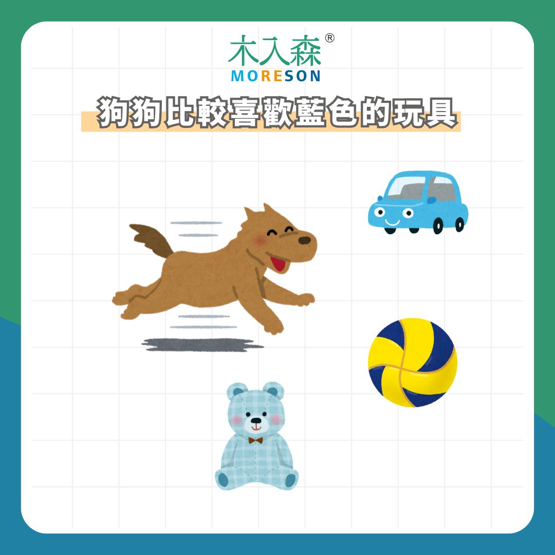 狗色盲