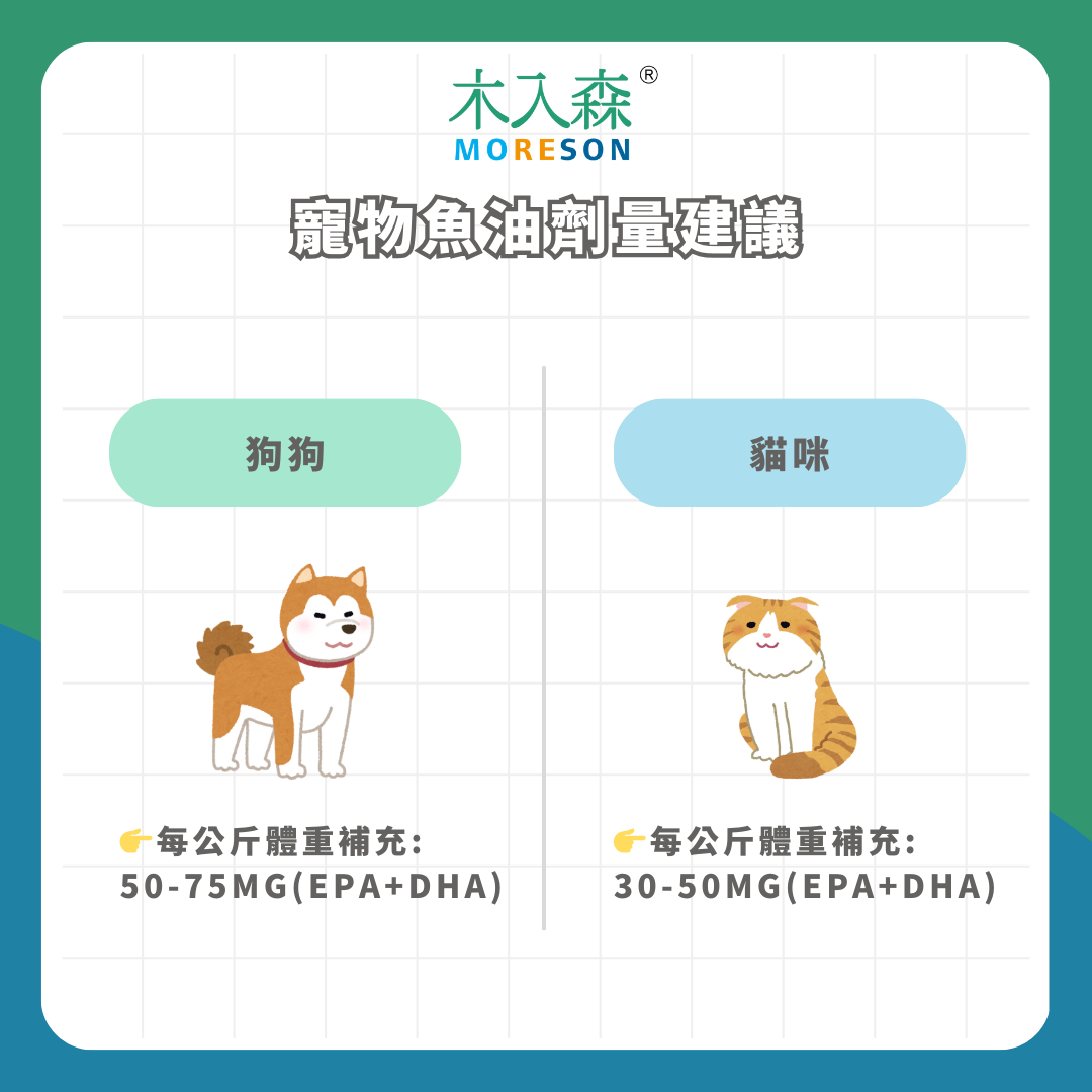 狗狗魚油怎麼選?五大挑選指南+狗狗魚油推薦品牌,一次了解不踩雷! 狗狗魚油怎麼選?五大挑選指南+狗狗魚油推薦品牌,一次了解不踩雷!