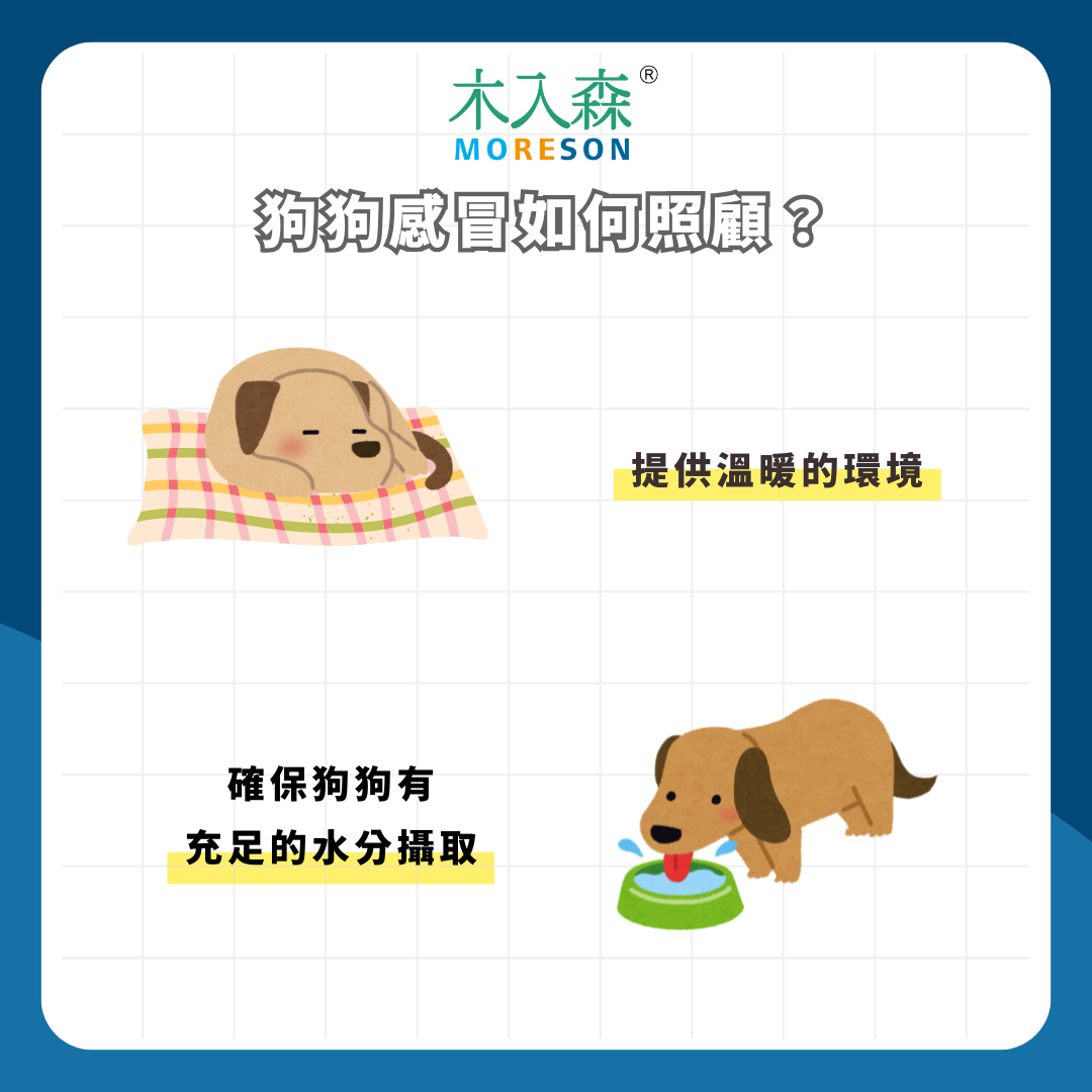 如何分辨狗狗是否感冒?從徵兆到治療,全面解析狗狗感冒症狀、原因及如何照顧! 如何分辨狗狗是否感冒?從徵兆到治療,全面解析狗狗感冒症狀、原因及如何照顧!