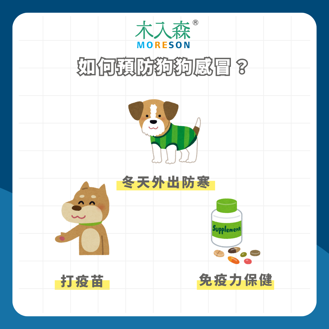 如何分辨狗狗是否感冒?從徵兆到治療,全面解析狗狗感冒症狀、原因及如何照顧! 如何分辨狗狗是否感冒?從徵兆到治療,全面解析狗狗感冒症狀、原因及如何照顧!