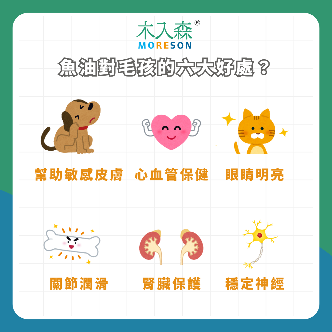 【2025】最新寵物魚油推薦:讓專家告訴你如何正確挑選寵物魚油! 【2025】最新寵物魚油推薦:讓專家告訴你如何正確挑選寵物魚油!