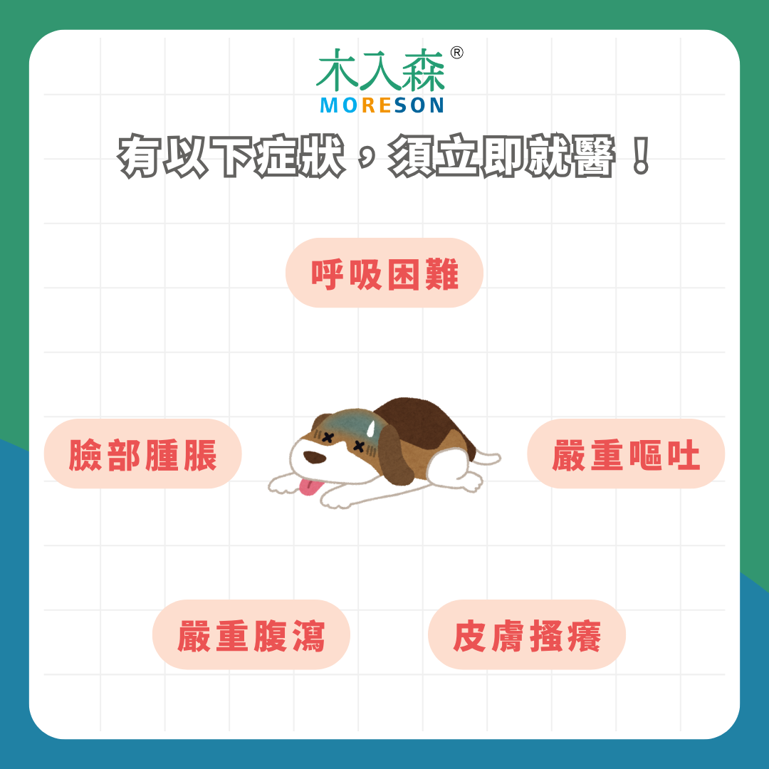 新手飼主必看!狗狗疫苗順序、種類與費用懶人包,你不能不知到的關鍵時程與注意事項! 新手飼主必看!狗狗疫苗順序、種類與費用懶人包,你不能不知到的關鍵時程與注意事項!