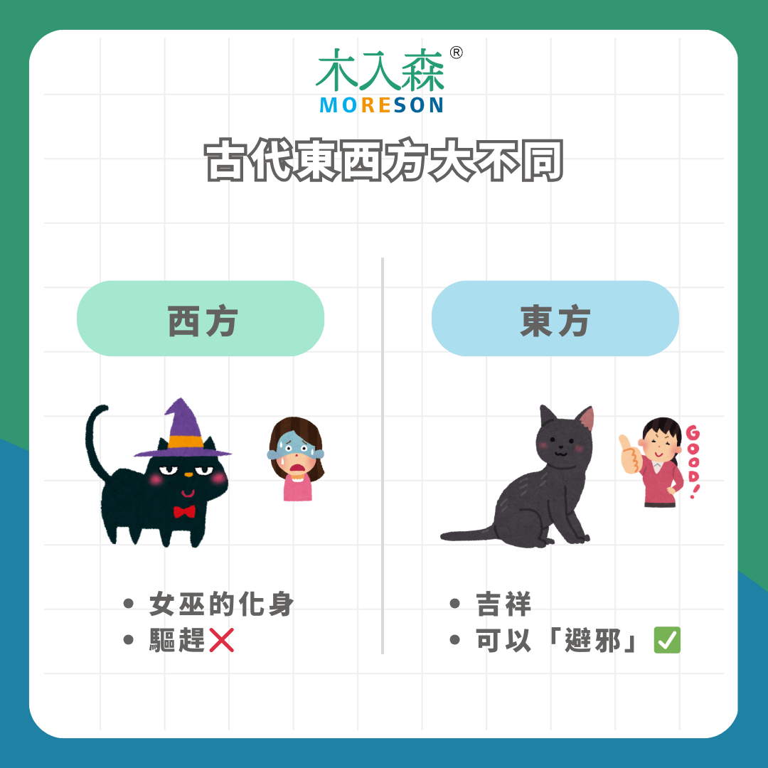 黑貓為何不能養!?世界各地黑貓傳說大集合! 黑貓為何不能養!?世界各地黑貓傳說大集合!