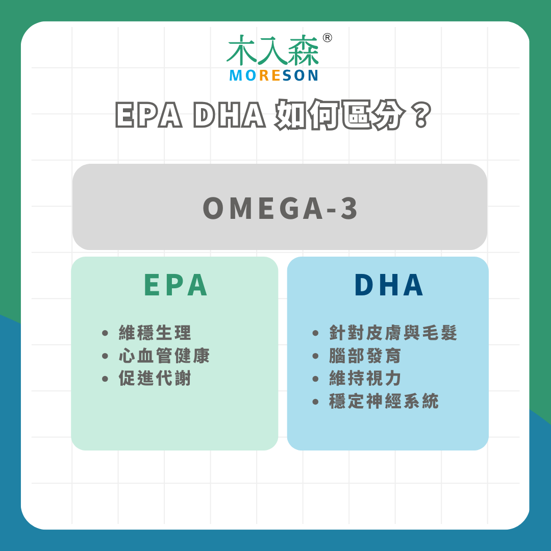 寵物魚油成分全解析:從 Omega-3 到維生素,一篇文章全搞懂! 寵物魚油成分全解析:從 Omega-3 到維生素,一篇文章全搞懂!