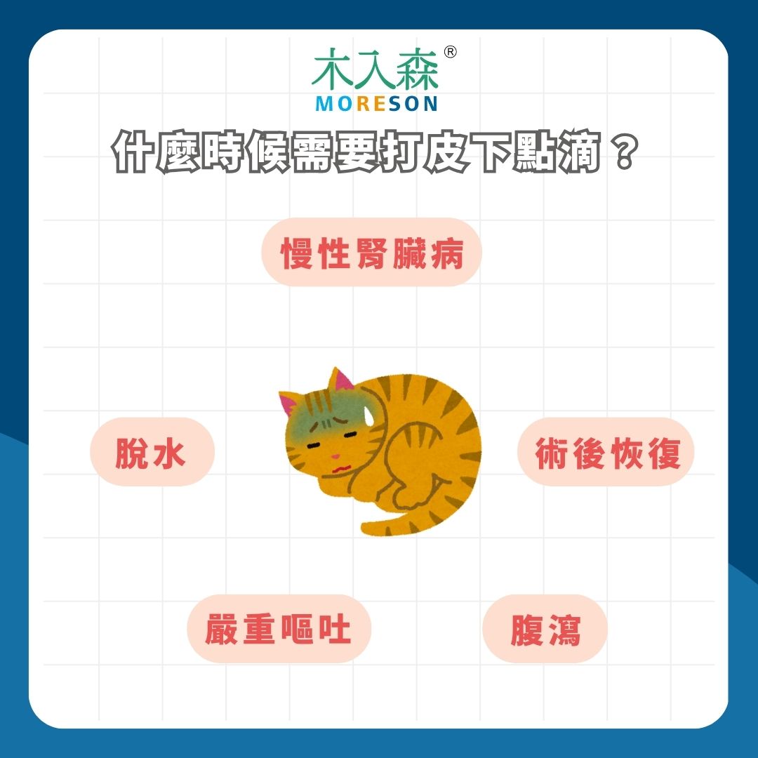 皮下點滴 皮下點滴