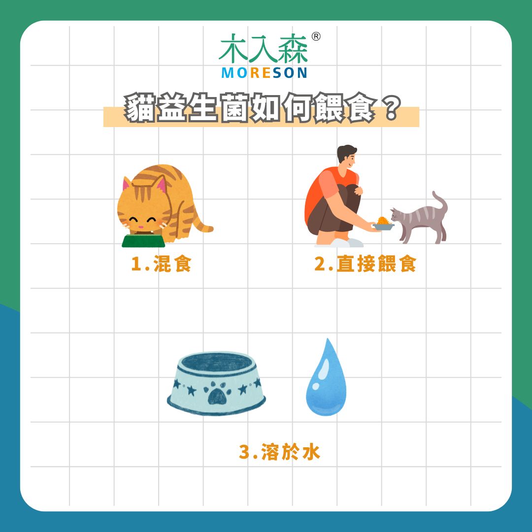 貓益生菌