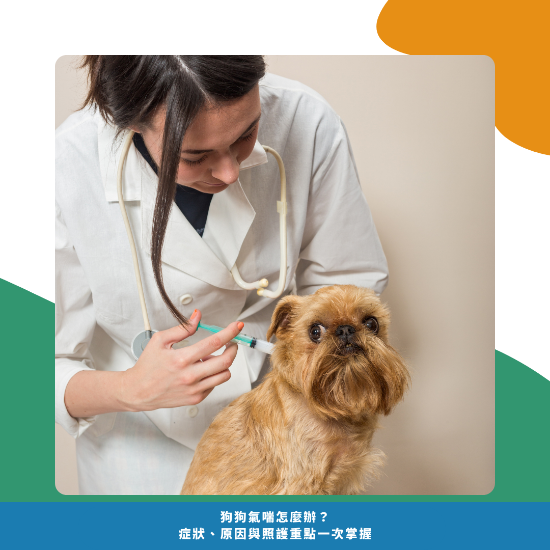 狗狗氣喘日常照護 狗狗氣喘日常照護