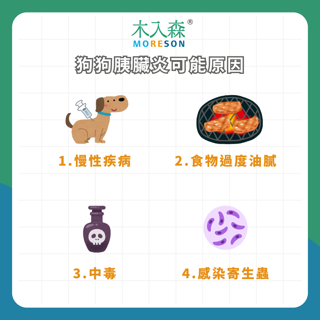 狗狗突然一直吐! 狗狗胰臟炎原因、症狀、 治療資訊總整理 狗狗突然一直吐! 狗狗胰臟炎原因、症狀、 治療資訊總整理