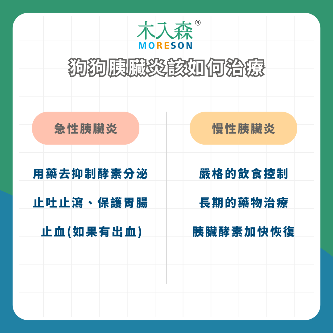 狗狗突然一直吐! 狗狗胰臟炎原因、症狀、 治療資訊總整理 狗狗突然一直吐! 狗狗胰臟炎原因、症狀、 治療資訊總整理
