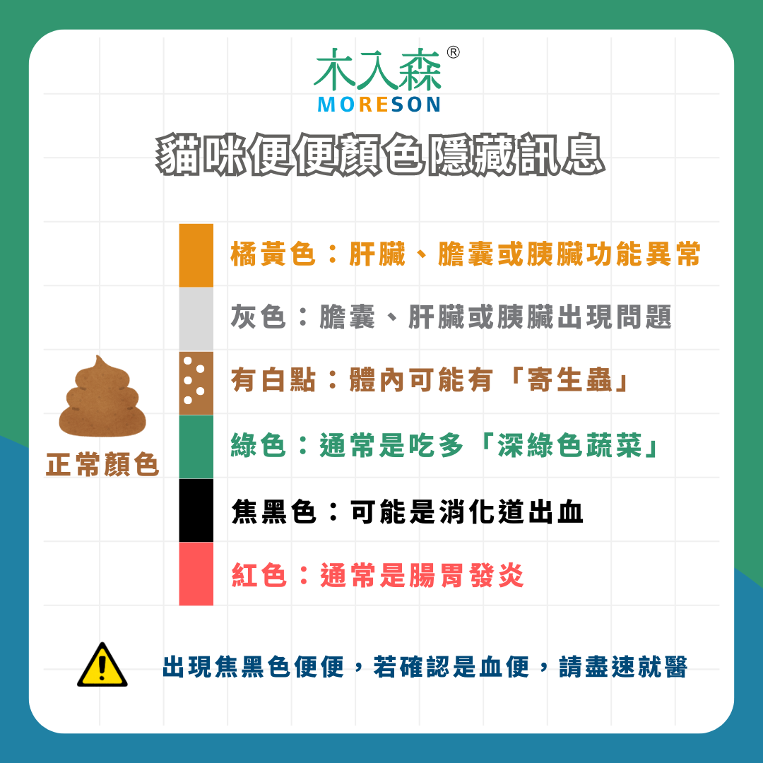 貓咪大便好臭! 貓咪便便顏色、味道 隱藏著什麼訊息? 貓咪大便好臭! 貓咪便便顏色、味道 隱藏著什麼訊息?