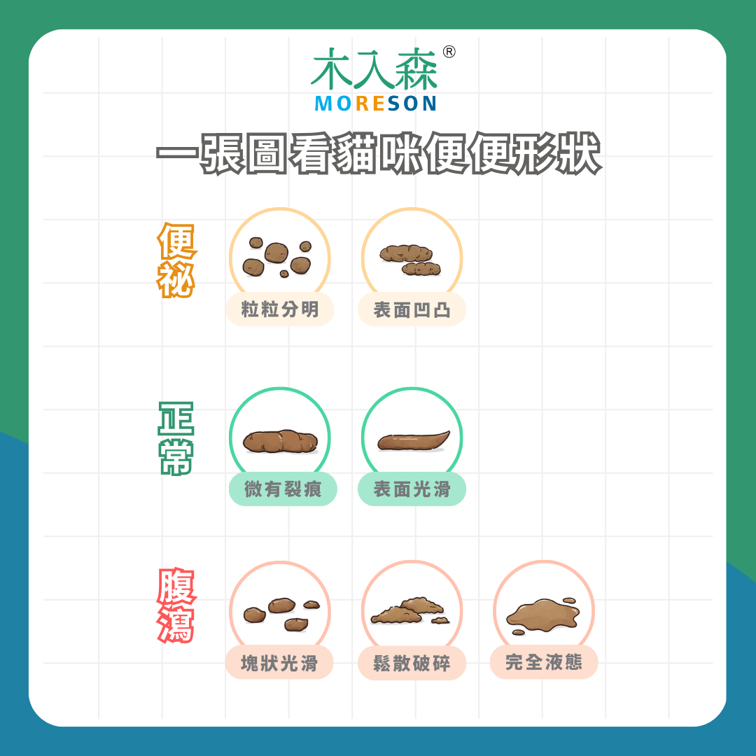 貓咪大便好臭! 貓咪便便顏色、味道 隱藏著什麼訊息? 貓咪大便好臭! 貓咪便便顏色、味道 隱藏著什麼訊息?