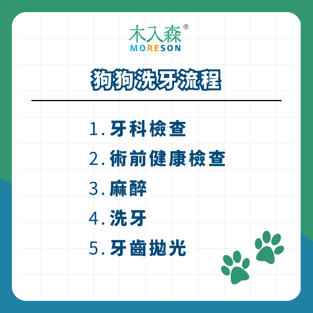 狗狗洗牙很貴嗎? 狗狗洗牙流程、費用、 麻醉評估與注意事項一次看! 狗狗洗牙很貴嗎? 狗狗洗牙流程、費用、 麻醉評估與注意事項一次看!