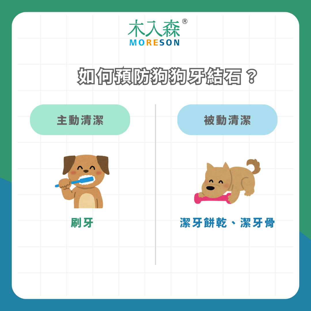 為什麼老狗牙結石嚴重?狗狗牙結石症狀、費用一次看! 為什麼老狗牙結石嚴重?狗狗牙結石症狀、費用一次看!
