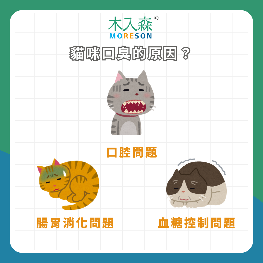 天啊!為什麼可以這麼臭?一次搞懂貓咪口臭原因與解決方法! 天啊!為什麼可以這麼臭?一次搞懂貓咪口臭原因與解決方法!