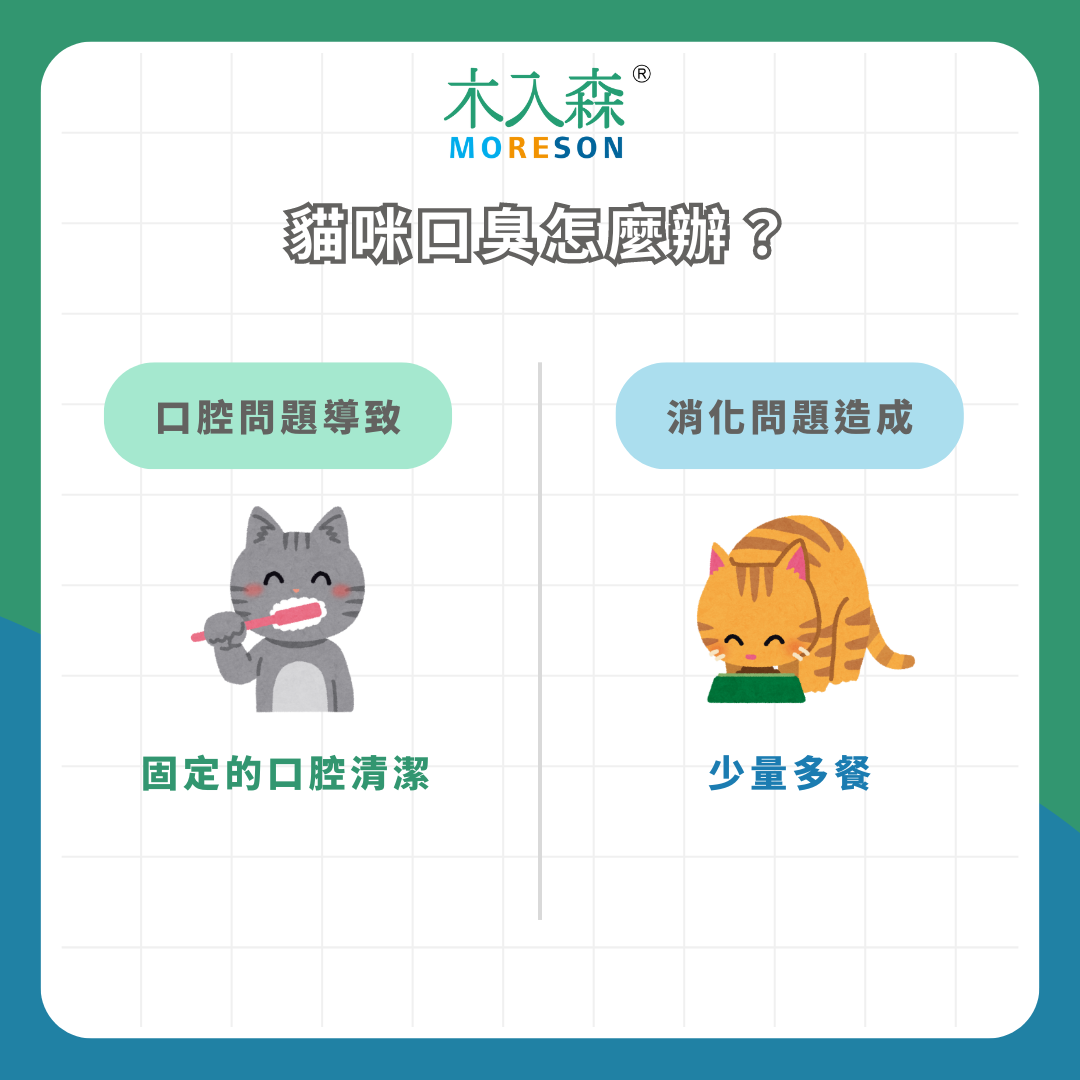 天啊!為什麼可以這麼臭?一次搞懂貓咪口臭原因與解決方法! 天啊!為什麼可以這麼臭?一次搞懂貓咪口臭原因與解決方法!