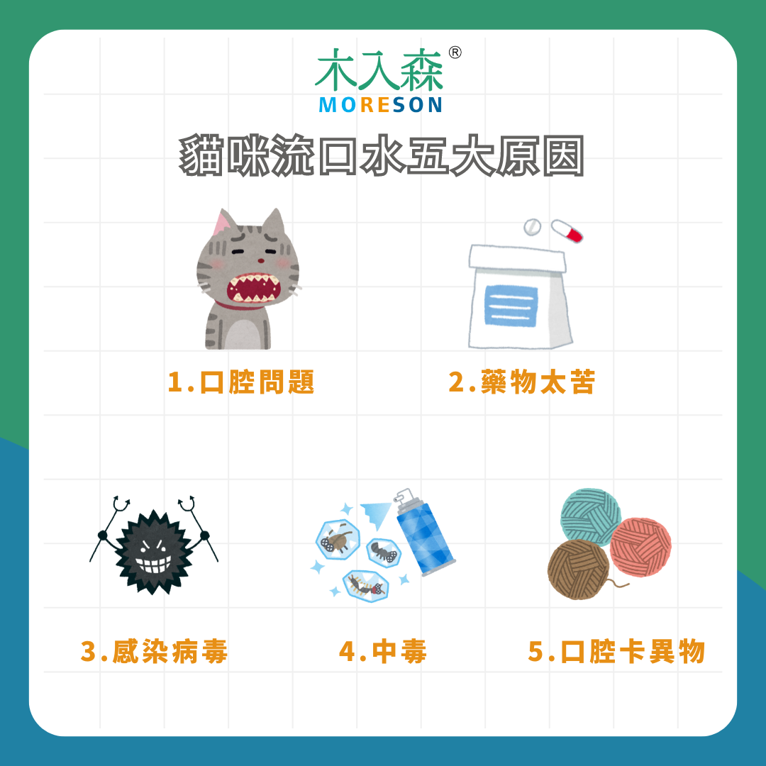 貓流口水不是覺得肚子餓!貓咪流口水正常嗎? 5 個常見原因以及處理方式 貓流口水不是覺得肚子餓!貓咪流口水正常嗎? 5 個常見原因以及處理方式