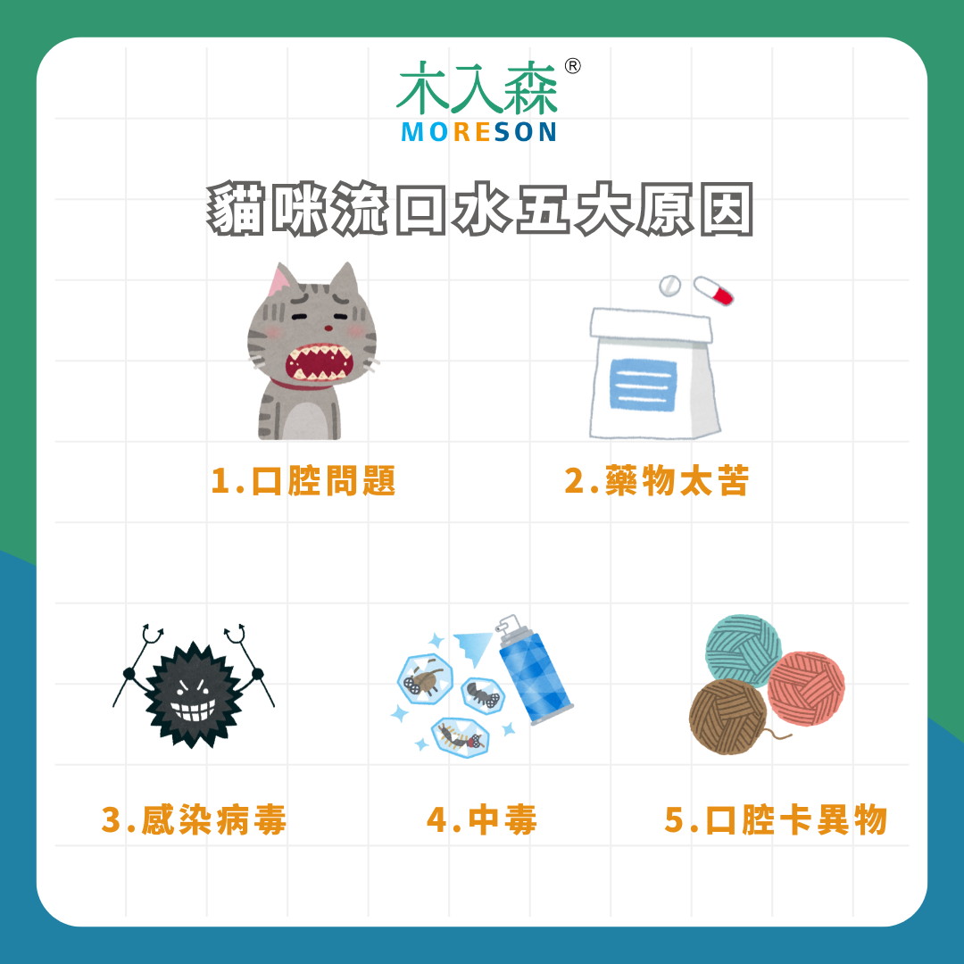 貓流口水不是覺得肚子餓!貓咪流口水正常嗎? 5 個常見原因以及處理方式 貓流口水不是覺得肚子餓!貓咪流口水正常嗎? 5 個常見原因以及處理方式