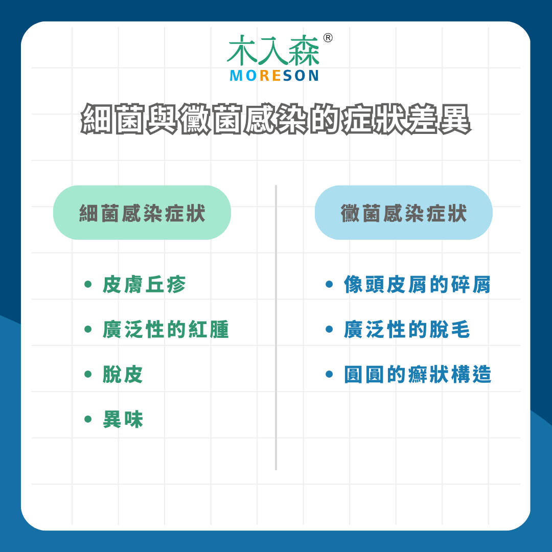 皮膚紅紅腫腫又脫毛!狗狗皮膚黴菌感染與細菌感染怎麼辦? 皮膚紅紅腫腫又脫毛!狗狗皮膚黴菌感染與細菌感染怎麼辦?