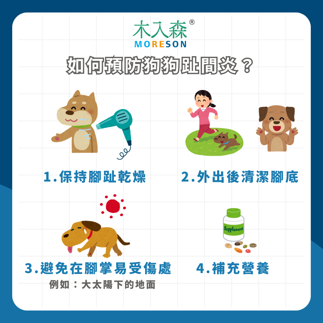 狂舔腳腳又走路跛腳! 狗狗趾間炎如何治療與預防? 三種常見原因及症狀整理 狂舔腳腳又走路跛腳! 狗狗趾間炎如何治療與預防? 三種常見原因及症狀整理