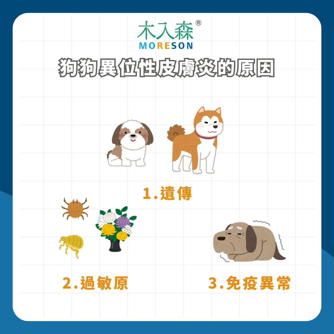 癢到不行!狗狗異位性皮膚炎怎麼辦?治療與預防皮膚大魔王 癢到不行!狗狗異位性皮膚炎怎麼辦?治療與預防皮膚大魔王