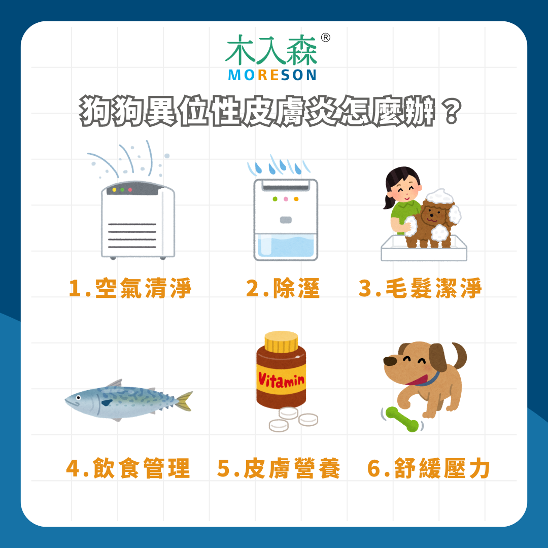 癢到不行!狗狗異位性皮膚炎怎麼辦?治療與預防皮膚大魔王 癢到不行!狗狗異位性皮膚炎怎麼辦?治療與預防皮膚大魔王