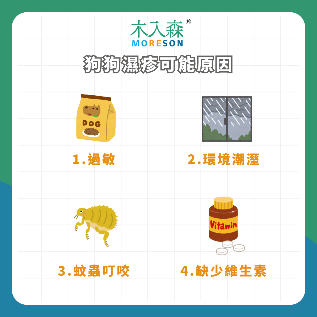 【狗狗濕疹懶人包】可以洗澡嗎?狗狗濕疹原因、症狀、改善方式! 【狗狗濕疹懶人包】可以洗澡嗎?狗狗濕疹原因、症狀、改善方式!