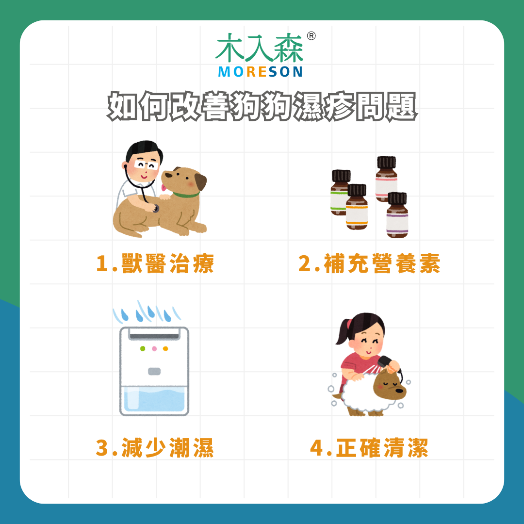【狗狗濕疹懶人包】可以洗澡嗎?狗狗濕疹原因、症狀、改善方式! 【狗狗濕疹懶人包】可以洗澡嗎?狗狗濕疹原因、症狀、改善方式!